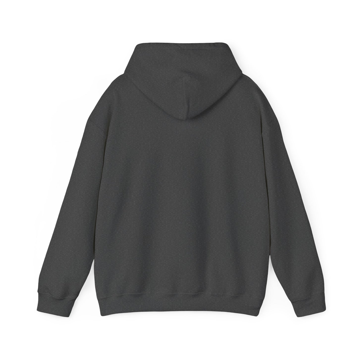 Canyon Hoodie Grey Back 