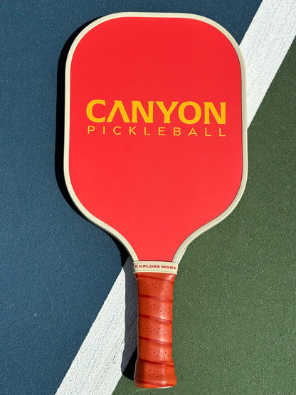 The Grand Pickleball Paddle Back On A Court 